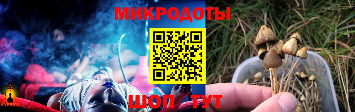 Псилоцибиновые грибы Psilocybine cubensis Бахчисарай