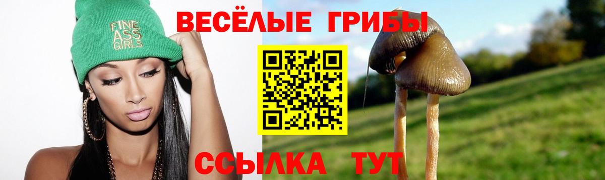 наркошоп  Бахчисарай  Псилоцибиновые грибы Cubensis 